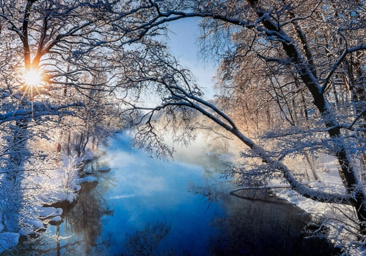 Winterbrief 2022, Hitchman Partners, Konflikte im Management