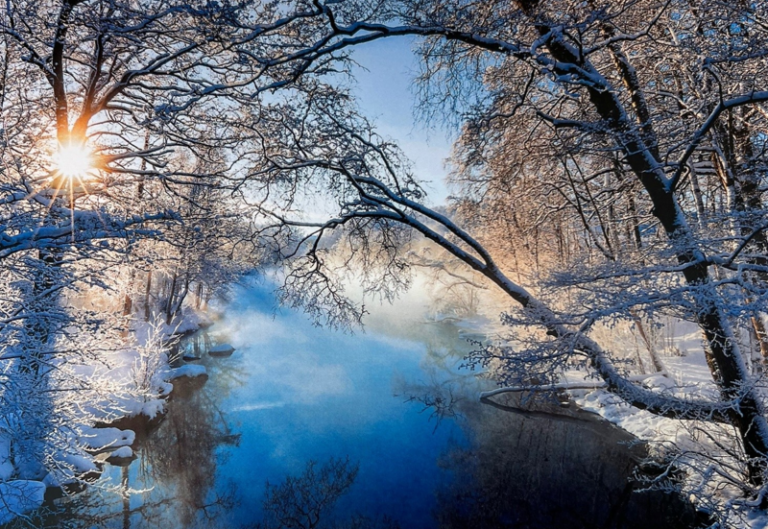 Winterbrief 2022, Hitchman Partners, Konflikte im Management